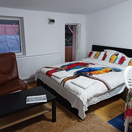 Sara 3 Dormitoare Nu Primesc Santieristi Si Petrecareti Villa Boekarest Buitenkant foto