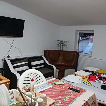 Sara 3 Dormitoare Nu Primesc Santieristi Si Petrecareti Villa Boekarest Buitenkant foto