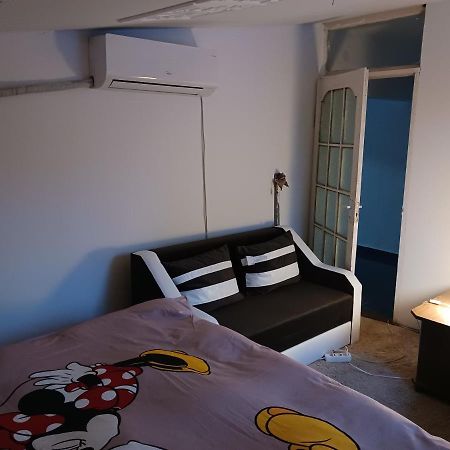Sara 3 Dormitoare Nu Primesc Santieristi Si Petrecareti Villa Boekarest Buitenkant foto