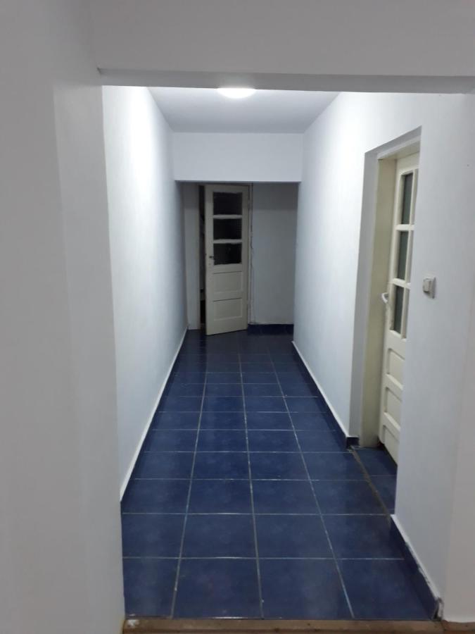 Sara 3 Dormitoare Nu Primesc Santieristi Si Petrecareti Villa Boekarest Buitenkant foto