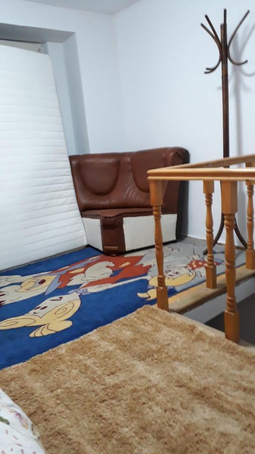 Sara 3 Dormitoare Nu Primesc Santieristi Si Petrecareti Villa Boekarest Buitenkant foto