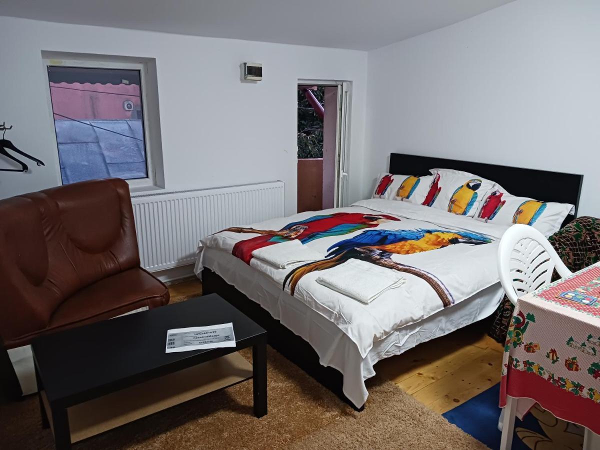Sara 3 Dormitoare Nu Primesc Santieristi Si Petrecareti Villa Boekarest Buitenkant foto