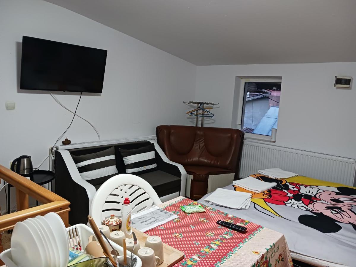 Sara 3 Dormitoare Nu Primesc Santieristi Si Petrecareti Villa Boekarest Buitenkant foto