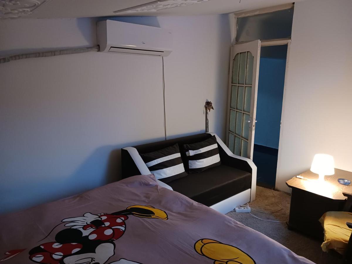 Sara 3 Dormitoare Nu Primesc Santieristi Si Petrecareti Villa Boekarest Buitenkant foto